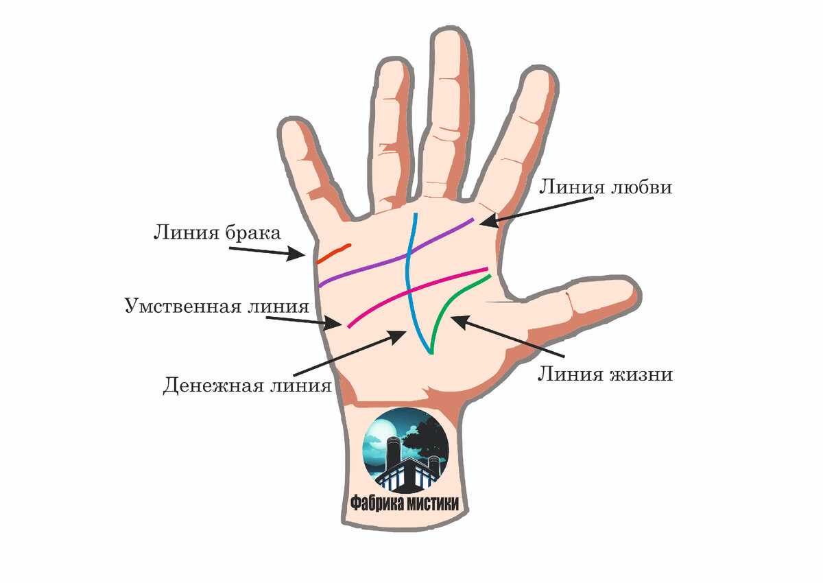 Малые линии на руке: что они могут рассказать о нас?