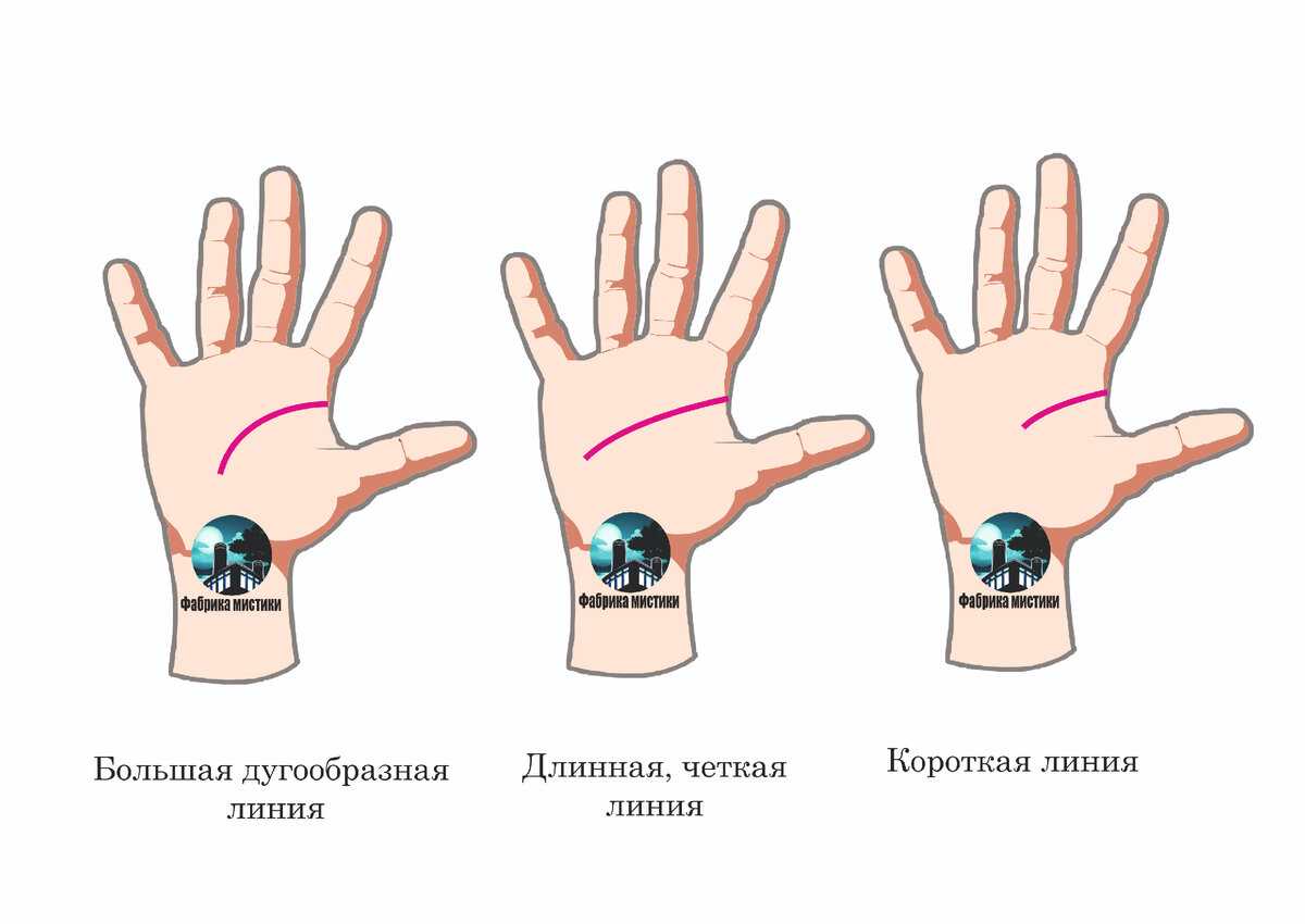 Маленькие подробности: значение дополнительных линий
