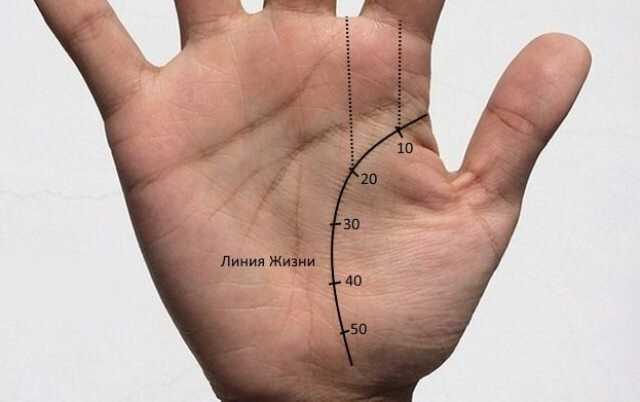 Анализ линий руки