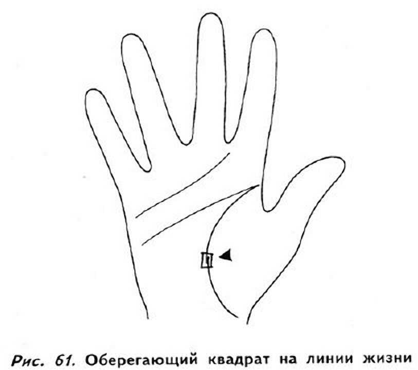 Анализ линий на руке