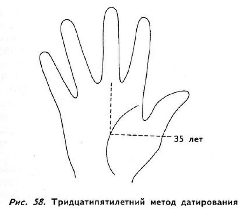 Определение жизненных периодов
