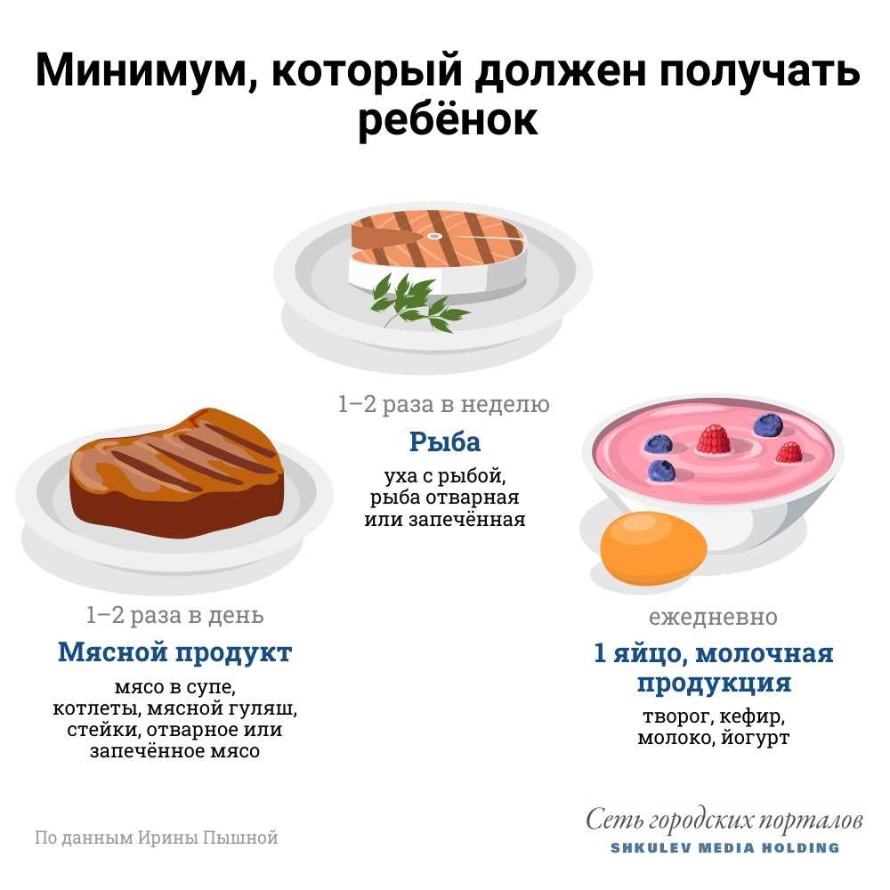 Завтрак для сбалансированного рациона: как правильно комбинировать продукты Завтрак для сбалансированного рациона: как правильно комбинировать продукты