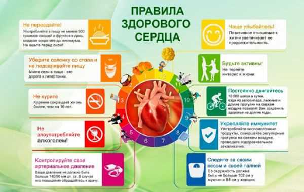 Значение здорового завтрака для сердечно-сосудистой системы